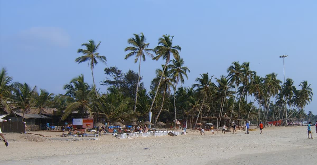 Colva Beach Volleyball Pickup